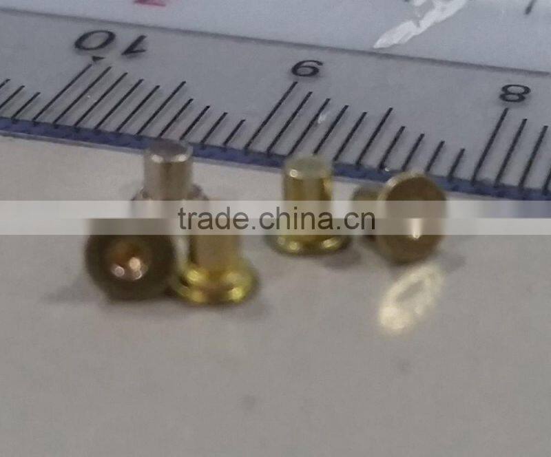 Micro Screw, Fastener, Metal Rivet Pin & cold forging part