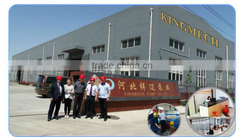 API610 OH2 petro chemical pump