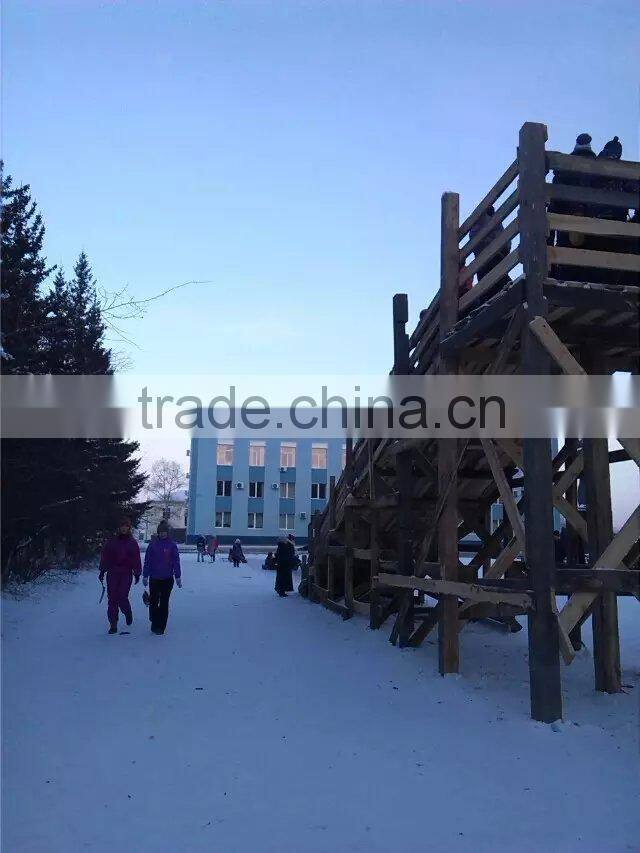 Pine birch logs FSC WOOD