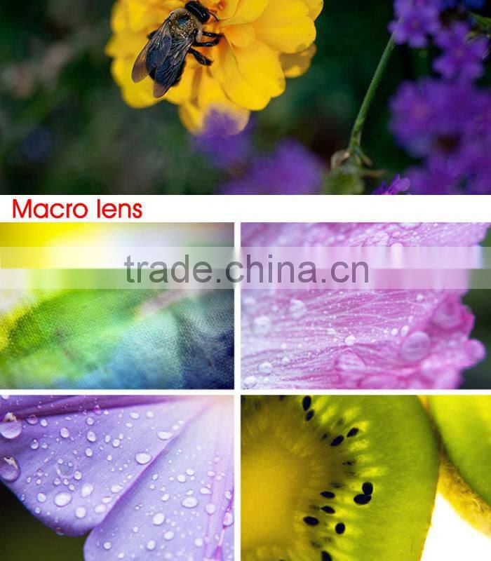 2 in1 camrea lens 0.4X Super Wide Angle+10X Macro Photo Lens Kit for iPhone Samsung