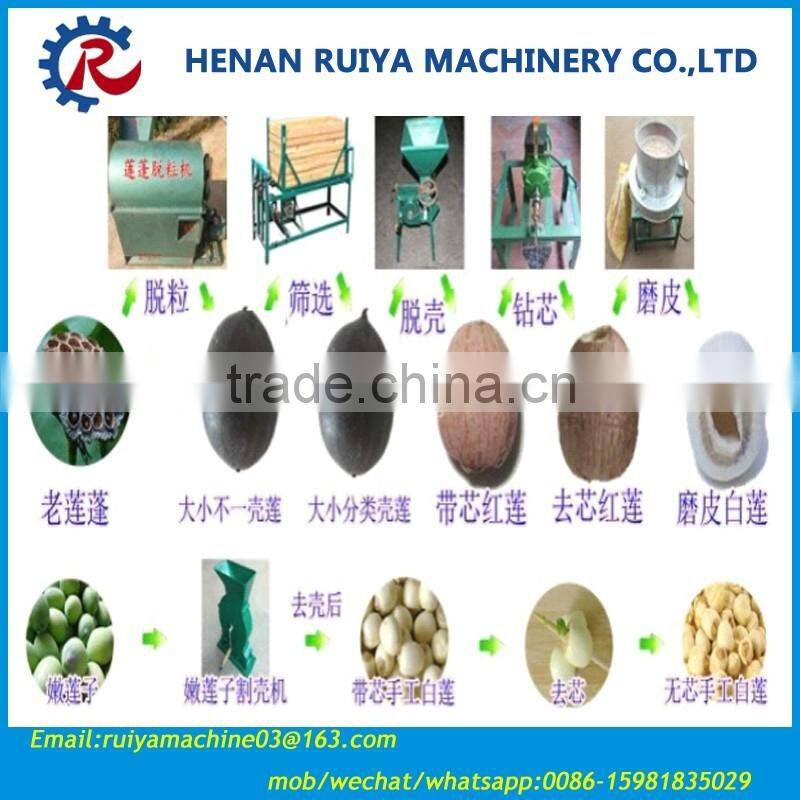 Lotus seeds peeling machine /Lotus nut sheller 0086-15981835029