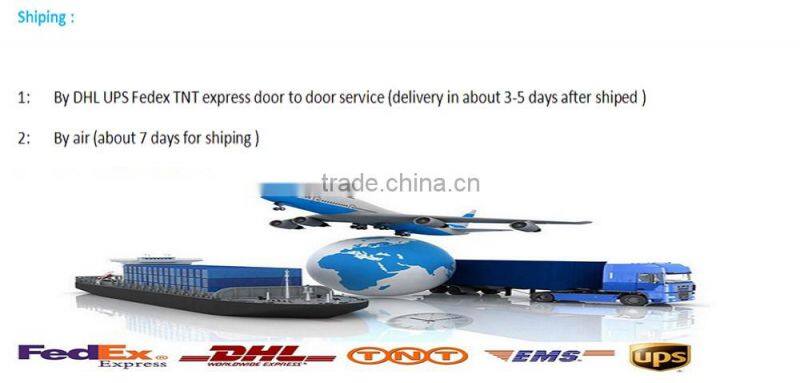 customized zipper women push up sexy sport fitness bra