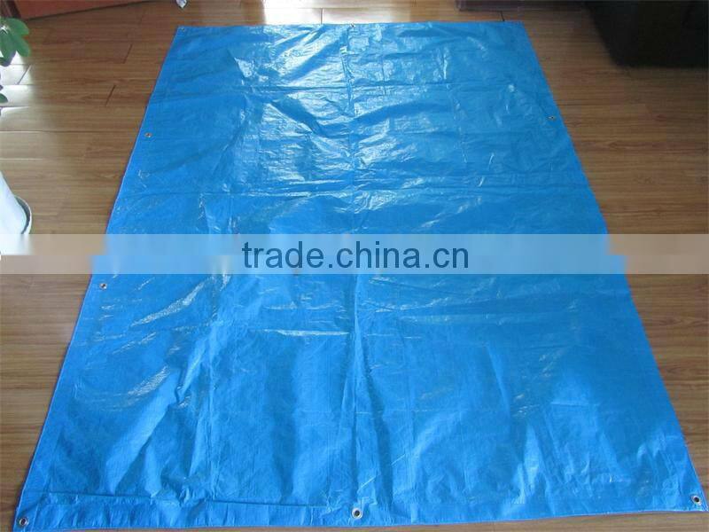 clear color&UV treated pe laminated screen house fabric