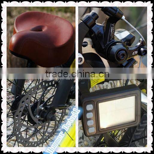 Best selling Chinese electric bike 500W