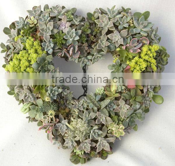 15" sphagnum moss heart living wreath