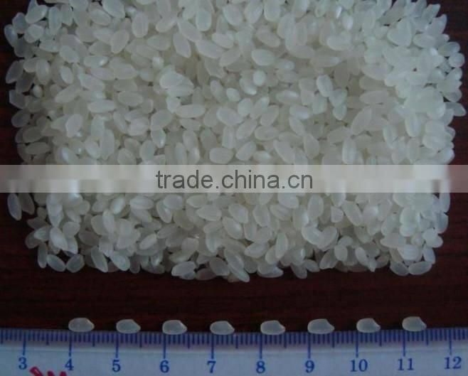 Japonica Short Grain Rice