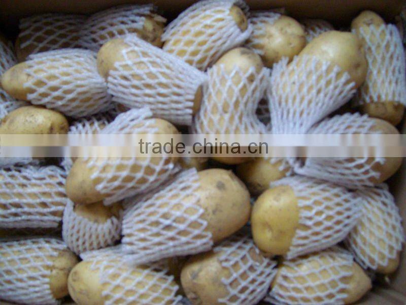 chinese fresh big potato