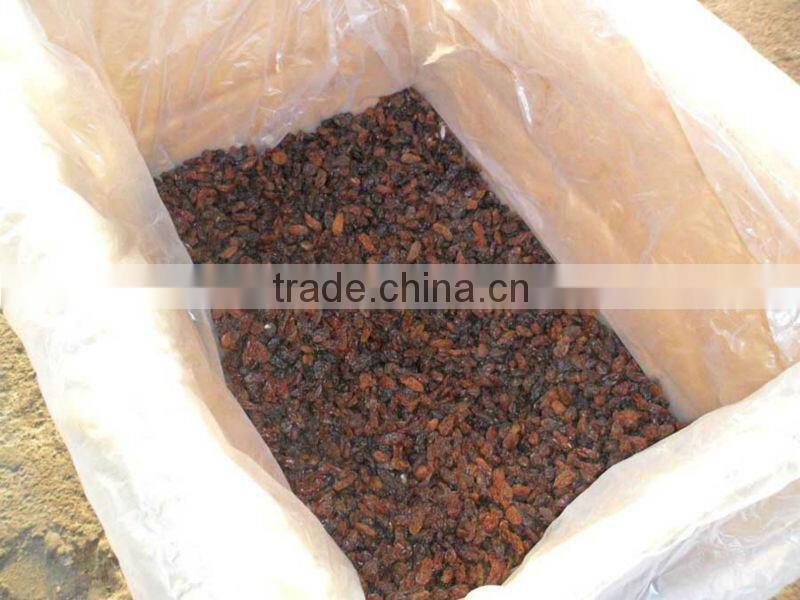 INDIAN DRIED INDUSTRIAL RAISIN