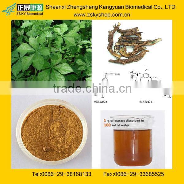 Natural Siberian ginseng P.E. with Eleutherosides B+E