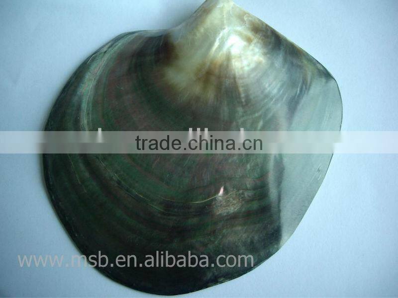 black lipped mother of pearl (MOP) shell rings