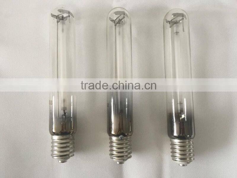 600W Indoor grow light kit for hydroponics indoor plant growth