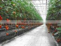 ldpe agriculture greenhouse/mulch film