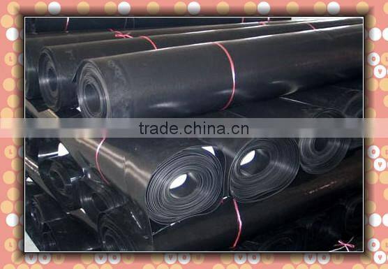 PE Builder Plastic Film