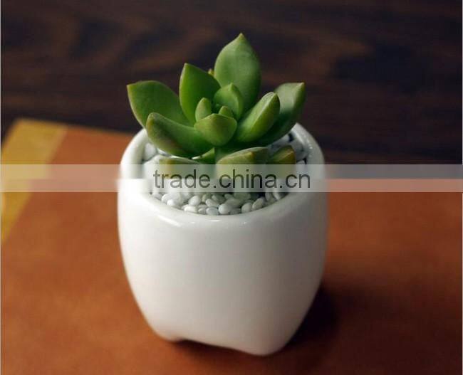 Zakka indoor mini tooth-shaped ceramic white flower pot for succulents