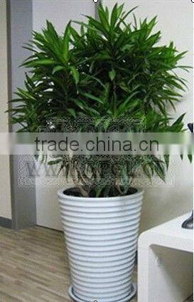 Practical garden plant pot