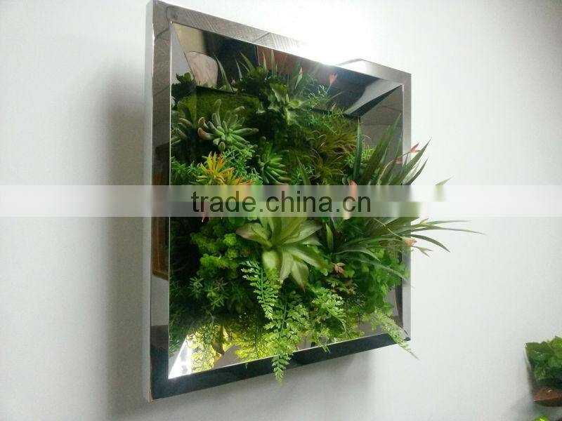 Artificial Succulent plant wall (special offer/bargain price:/2014 High Quality Factory price/outdoor & indoor )