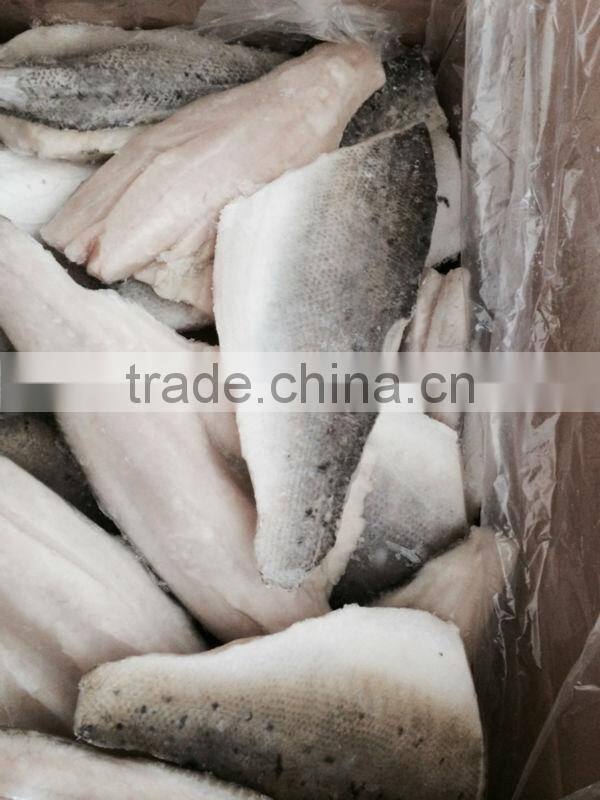 frozen japanese seabass fillet