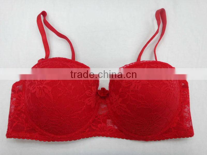 ladies sex bra cut and sew elegant bra with embroidery