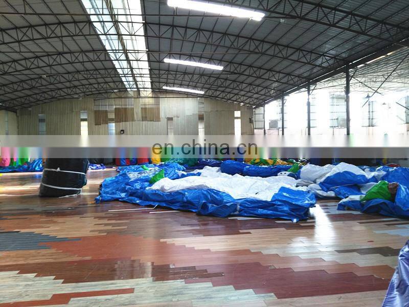 Large Outdoor Waterproof Christmas Party Dome Tent Inflatable Event Tent For Sale