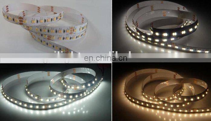 Underwater led strip light ip68 tow color led 3014 224leds CCT temperature color change tape