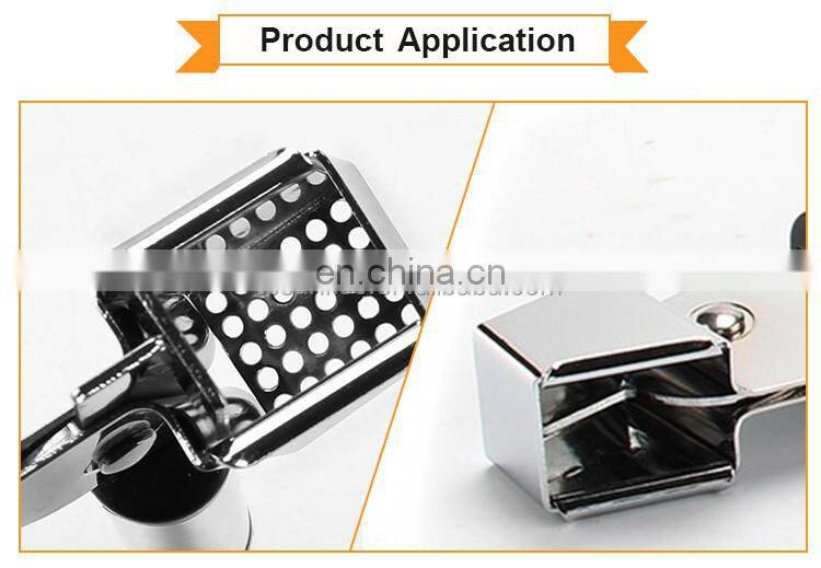 Stainless Steel Kitchen Accessory Garlic Press