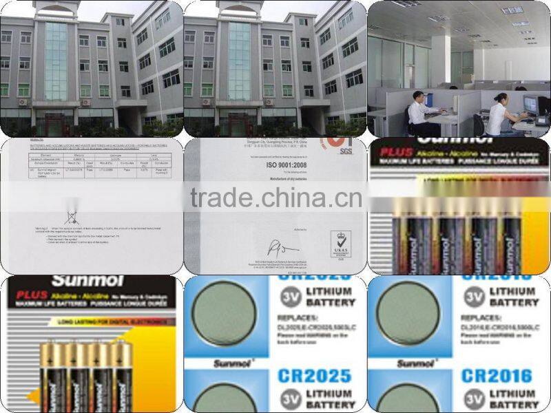 A27 B5P remote control battery