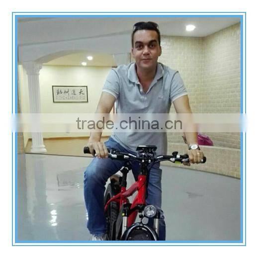 fashion electric bicycle,electric bicycle conversion kit,cheap electric bicycle kit