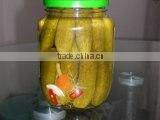 Premium quality Cucumbers in brine