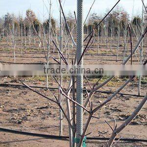 long Life Fiberglass Nursery Stakes