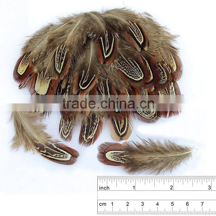 Wholesale 65-70cm Natural Ringneck Pheasant feathe for party decorating,