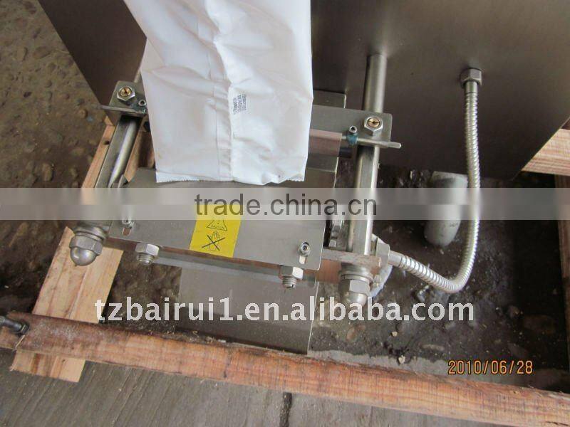 Large bag packing machine