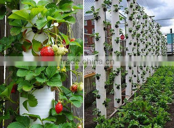 YiMing inspection water pipeline of pump