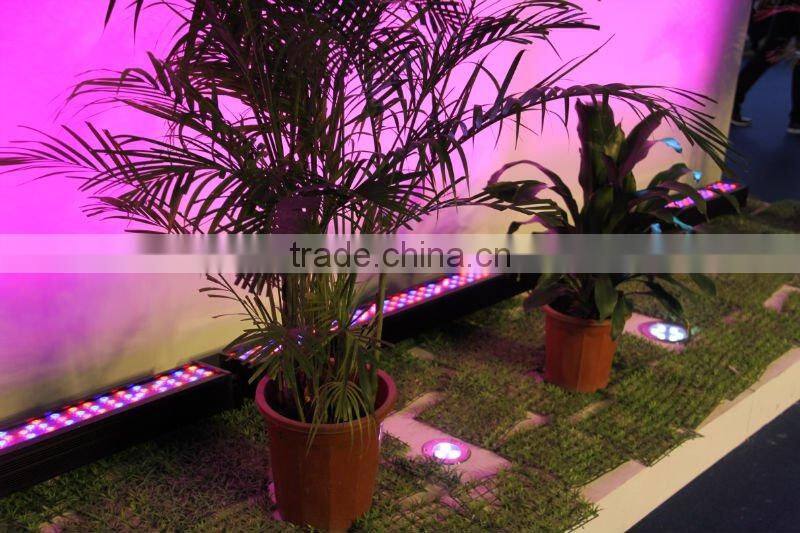 CREE 144W LED flood light