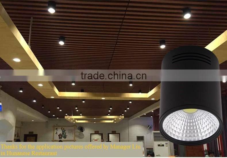 Pure white LED Downlights and LED COB Surface Mounted LED downlight