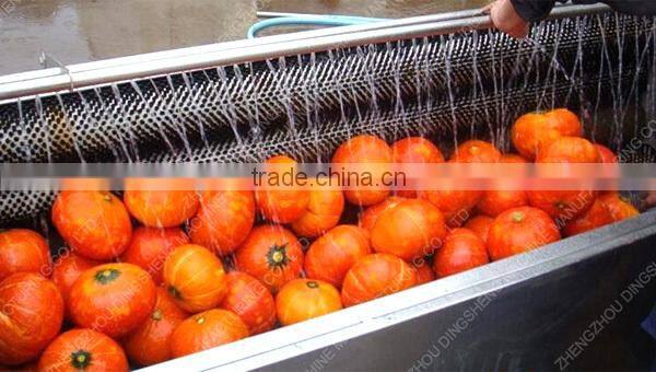 Hot sales Fruit cleaning equipment