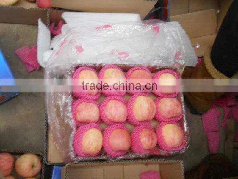 mature natural red apple wholesale fuji apple china with fresh apple price