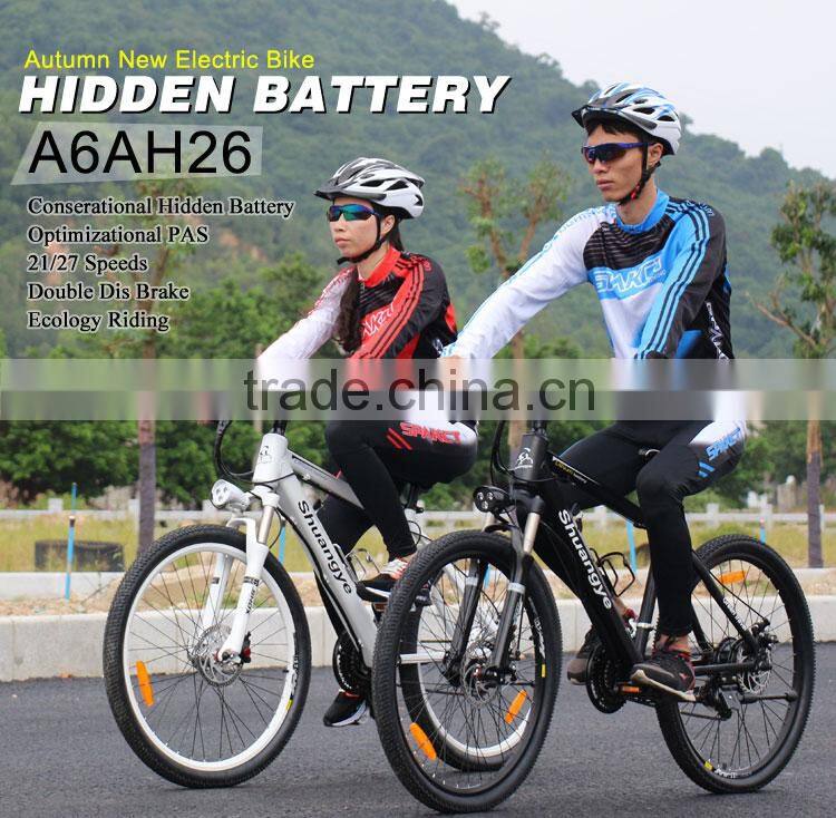 Ebike factory electric bicycle battery manufacturer