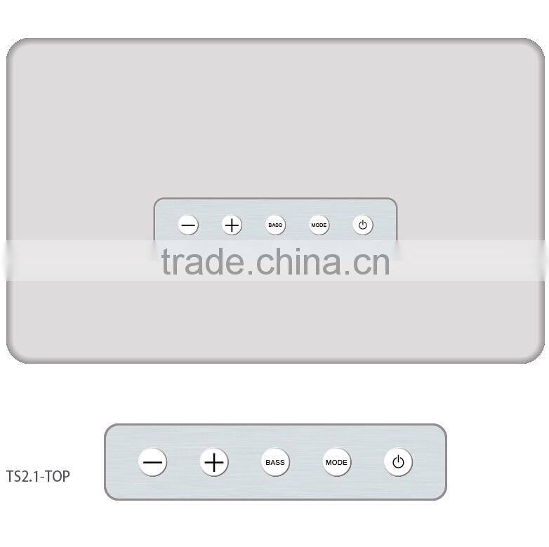 Best Selling TS2.1 new popular removeable recharge outside bluetooth active speaker