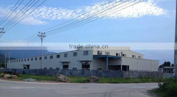 Frozen whole Catfish