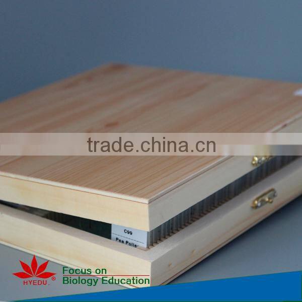 High quality 18pcs blood test prepared slides set