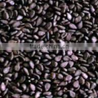 BLACK SEASAME SEED SUPPLIER