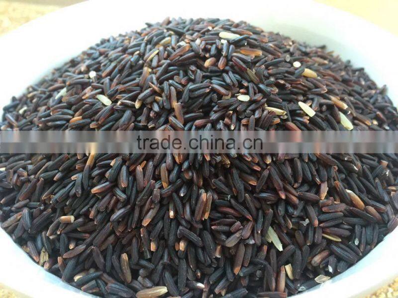 Organic Rice Berry from Thailand OEM