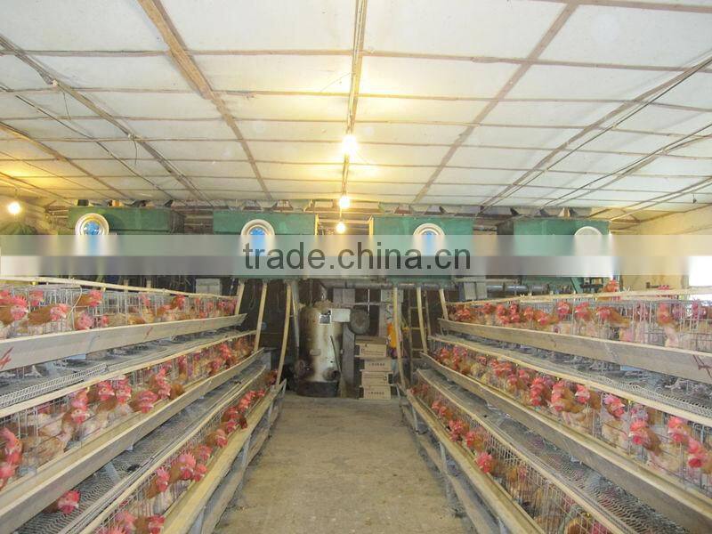 poultry farm disinfection system for people at the entrance