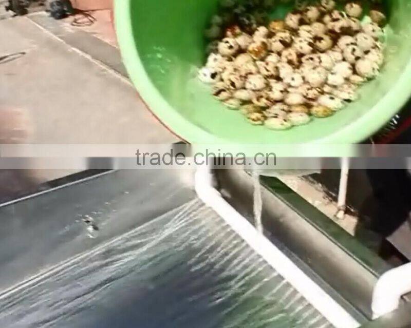 FT-206 Large Capacity Quail Egg Shelling Breaking Peeling Machine