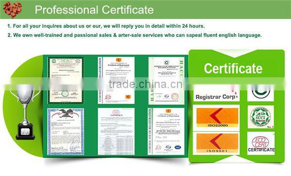 pure pine nut oil physical cold pressed nutritional oil