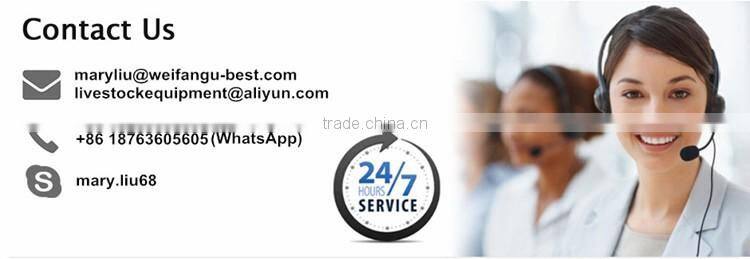 good quality automatic chicken nipple drinkers for poultry house