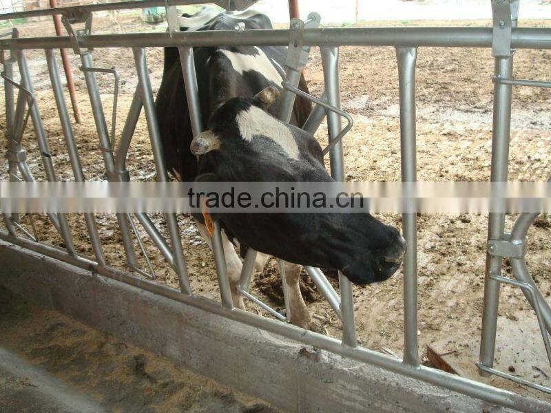 Steel Tube Cattle Headlock Fence Panels