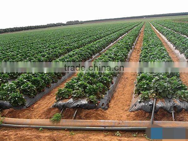 Plastic PE Greenhouse material drip irrigation pipe