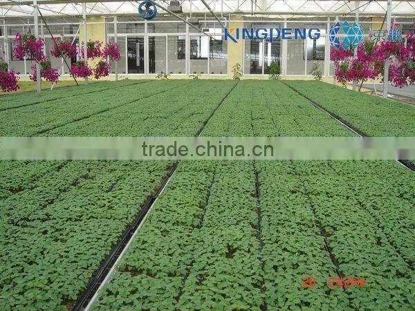 Vegetable Growing Greenhouse