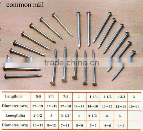 common nails